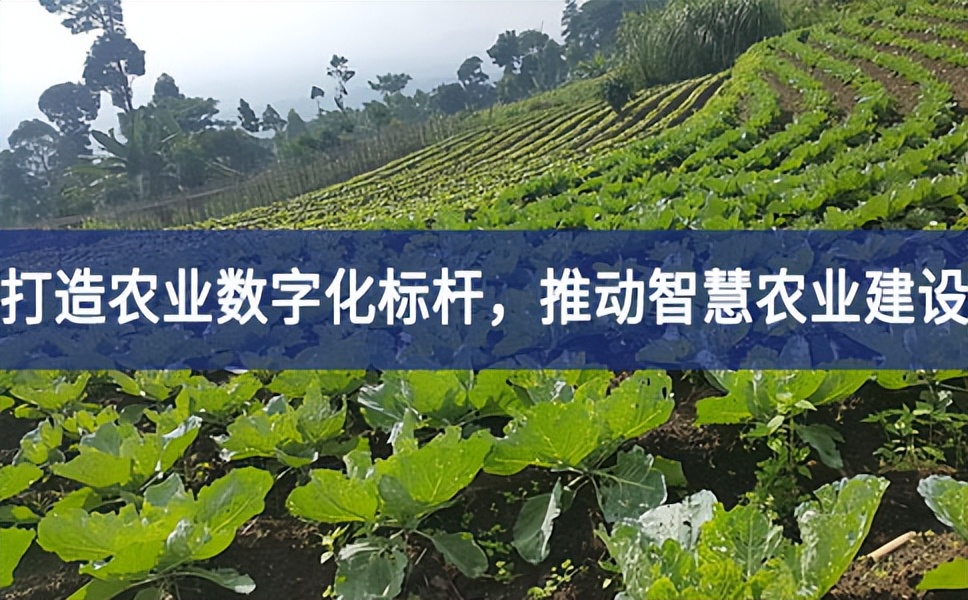 打造農(nóng)業(yè)數(shù)字化標(biāo)桿,推動(dòng)智慧農(nóng)業(yè)建設(shè)
