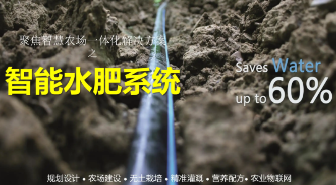 智能水肥系統(tǒng)