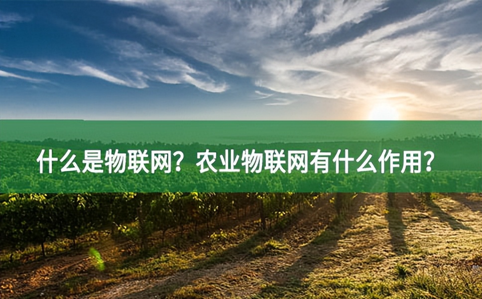 什么是物聯(lián)網(wǎng)?農(nóng)業(yè)物聯(lián)網(wǎng)有什么作用?