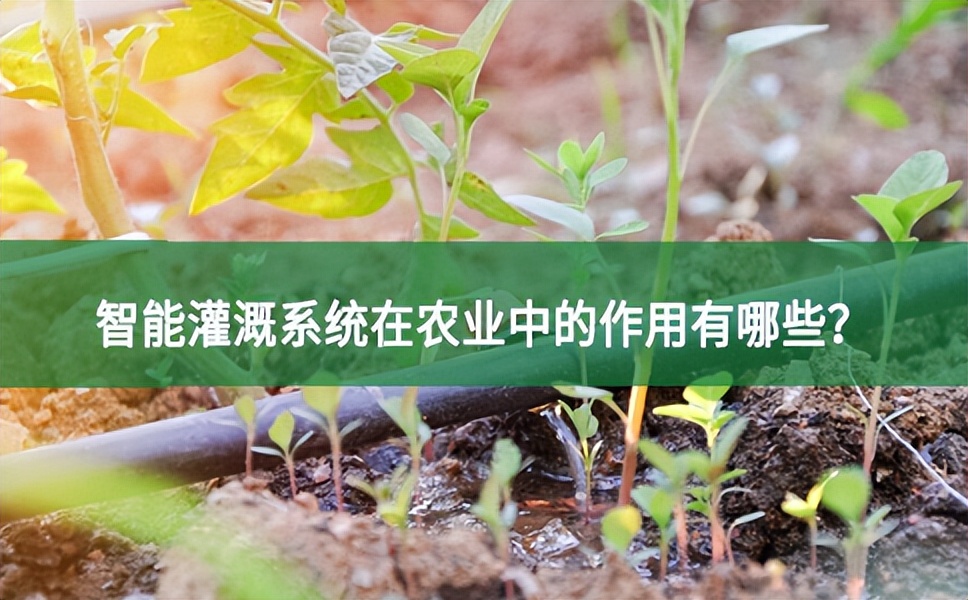 智能灌溉系統在農業中的作用有哪些?