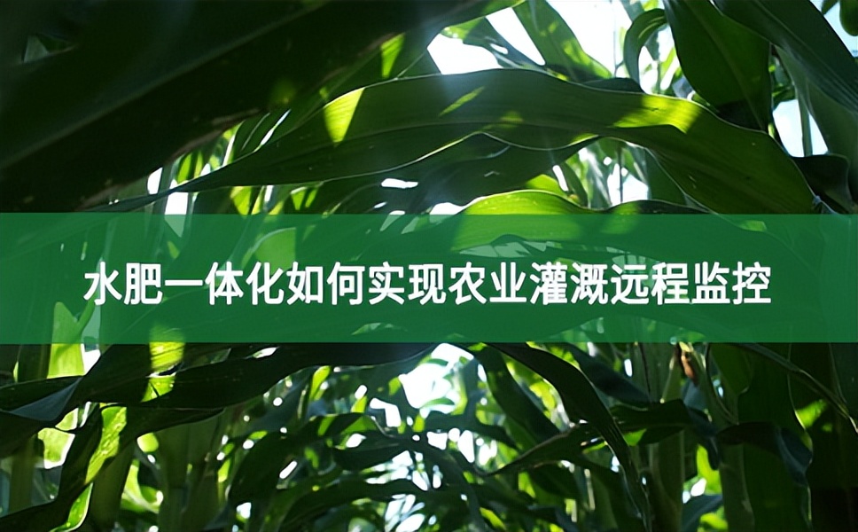 水肥一體化如何實現(xiàn)農(nóng)業(yè)灌溉遠程監(jiān)控