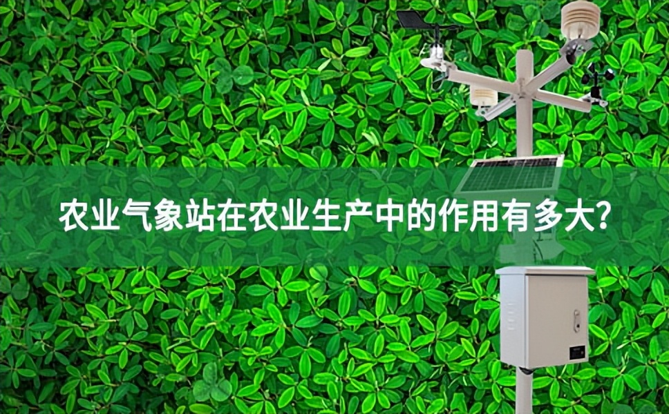 農業氣象站在農業生產中的作用有多大？