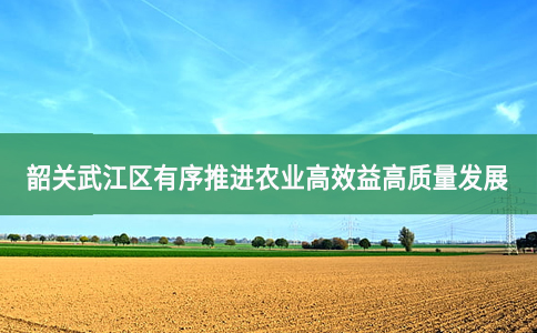 韶關武江區有序推進農業高效益高質量發展