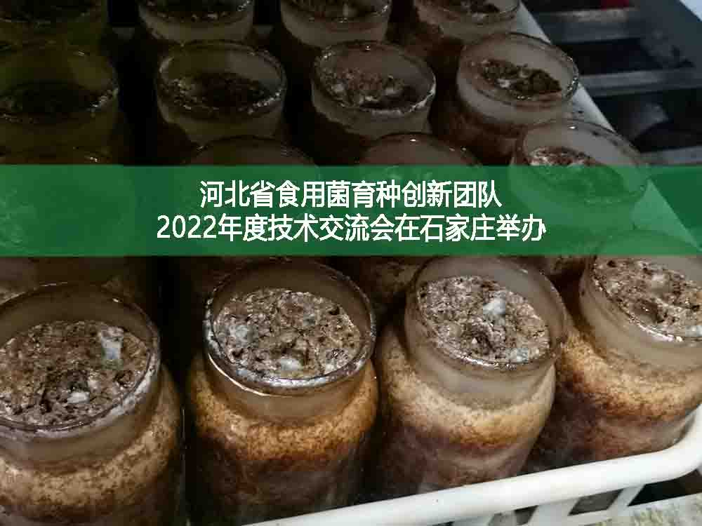 河北省食用菌育種創(chuàng)新團(tuán)隊2022年度技術(shù)交流會在石家莊舉辦