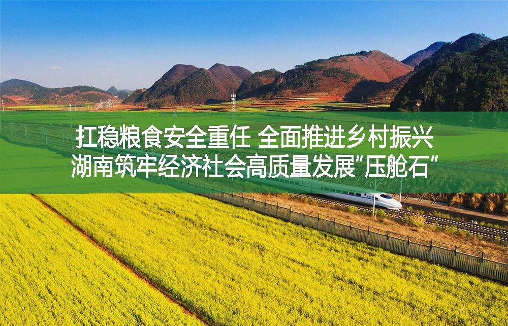 扛穩糧食安全重任，全面推進鄉村振興——湖南筑牢經濟社會高質量發展“壓艙石”