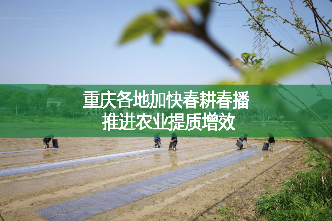 重慶各地加快春耕春播 推進農業提質增效