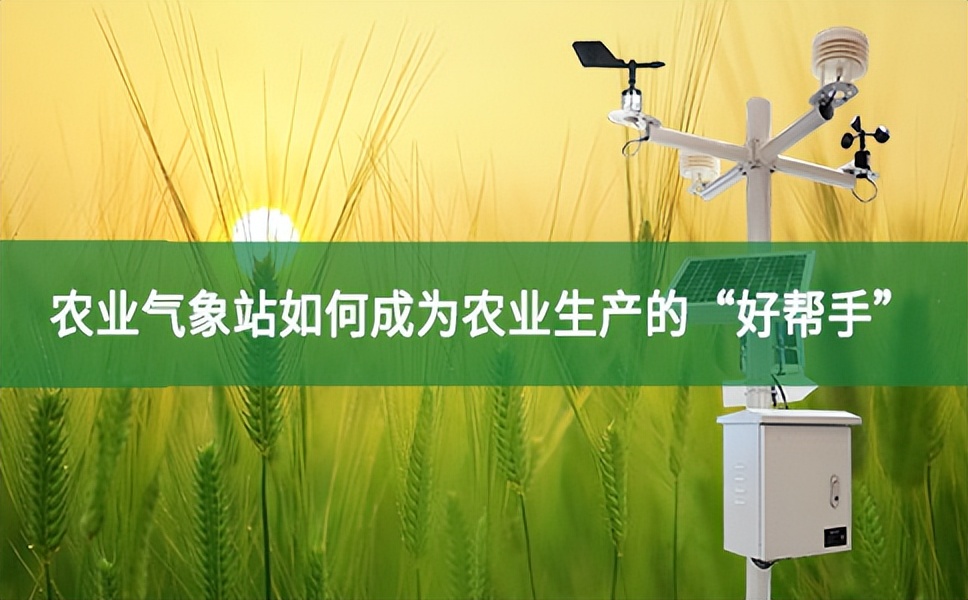 農(nóng)業(yè)氣象站如何成為農(nóng)業(yè)生產(chǎn)的“好幫手”