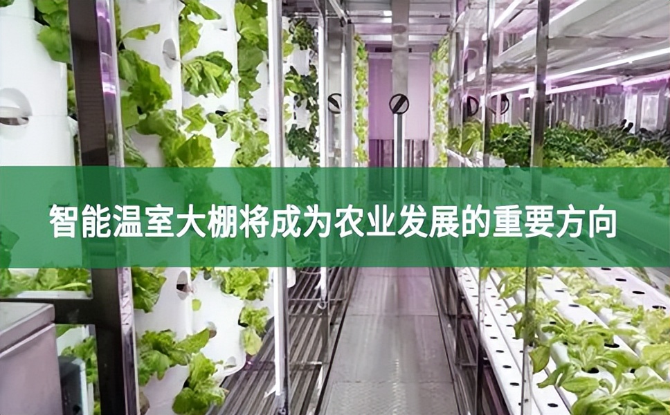 智能溫室大棚將成為農(nóng)業(yè)發(fā)展的重要方向