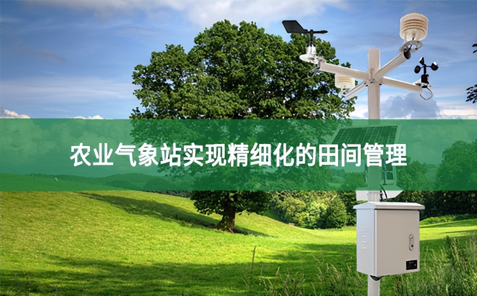 農業氣象站實現精細化的田間管理