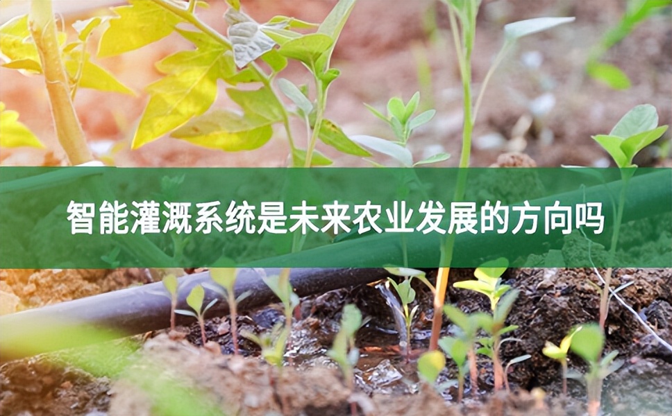 智能灌溉系統(tǒng)是未來農(nóng)業(yè)發(fā)展的方向嗎