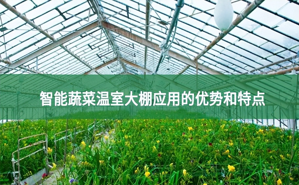 智能蔬菜溫室大棚應用的優勢和特點