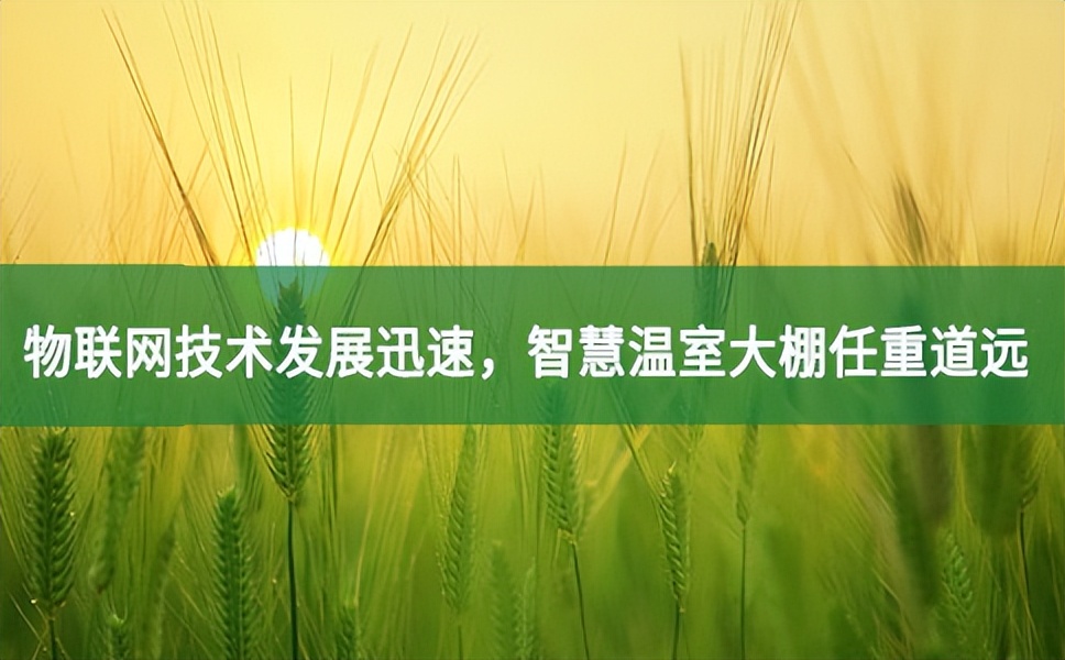 物聯網技術發展迅速，智慧溫室大棚任重道遠