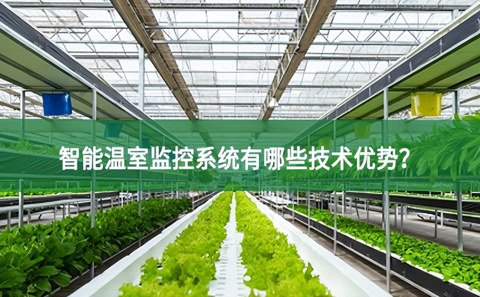 智能溫室監控系統有哪些技術優勢?