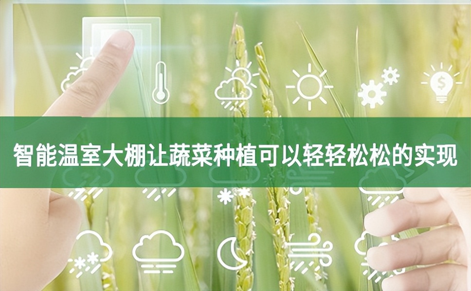 智能溫室大棚讓蔬菜種植可以輕輕松松的實(shí)現(xiàn)