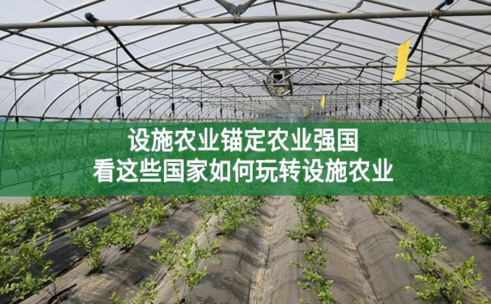 設施農業錨定農業強國,看這些國家如何玩轉設施農業