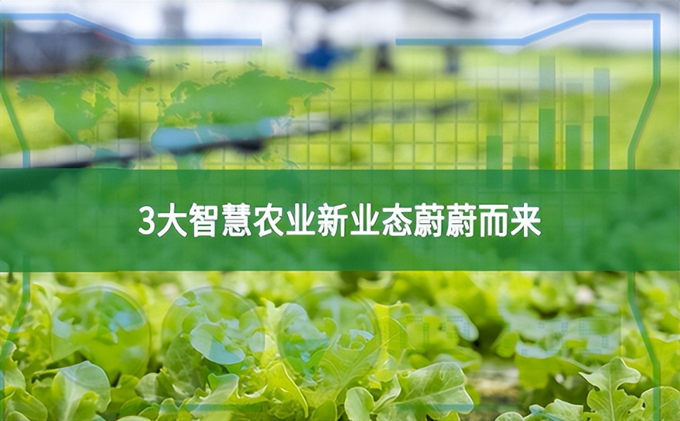 農業數字經濟大爆發，3大智慧農業新業態蔚蔚而來