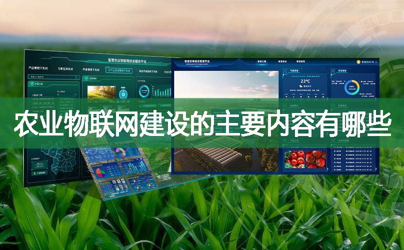 農(nóng)業(yè)物聯(lián)網(wǎng)建設的主要內(nèi)容有哪些