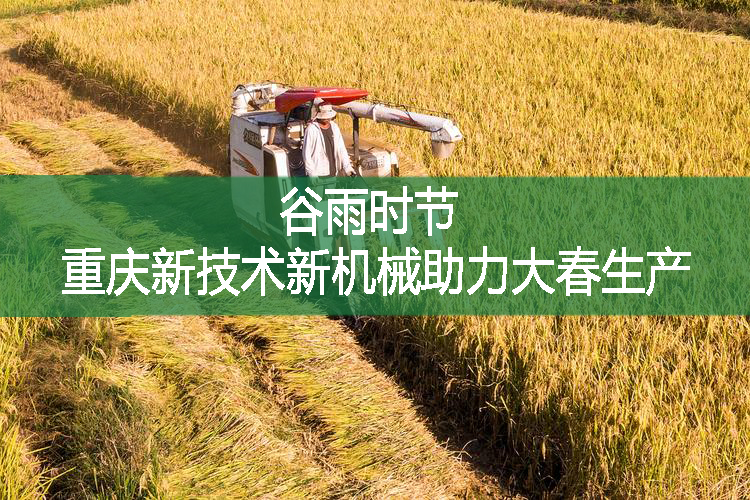 谷雨時節(jié) 重慶新技術(shù)新機(jī)械助力大春生產(chǎn)