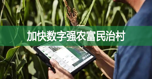 加快數(shù)字強(qiáng)農(nóng)富民治村