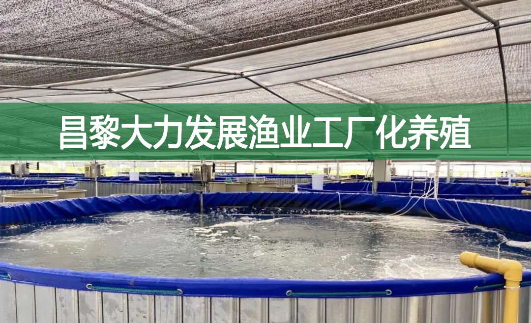 昌黎大力發(fā)展?jié)O業(yè)工廠(chǎng)化養(yǎng)殖