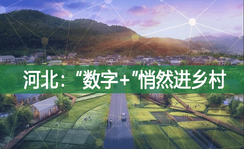 河北：“數(shù)字+”悄然進鄉(xiāng)村