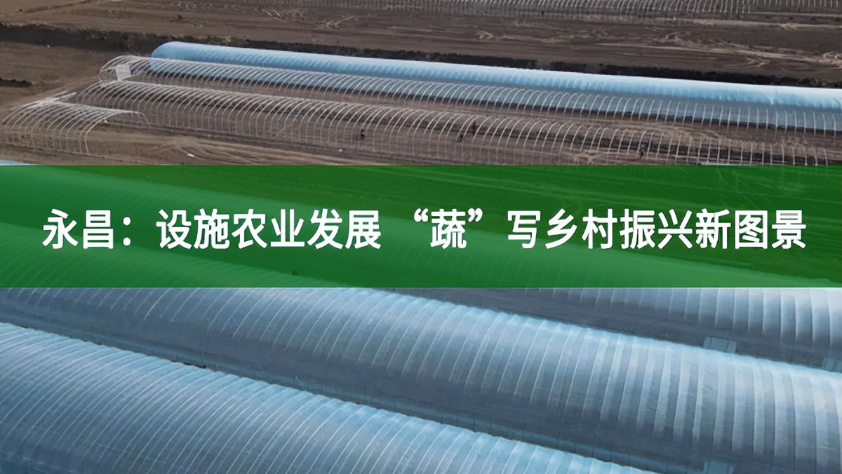 永昌：設施農業發展 “蔬”寫鄉村振興新圖景