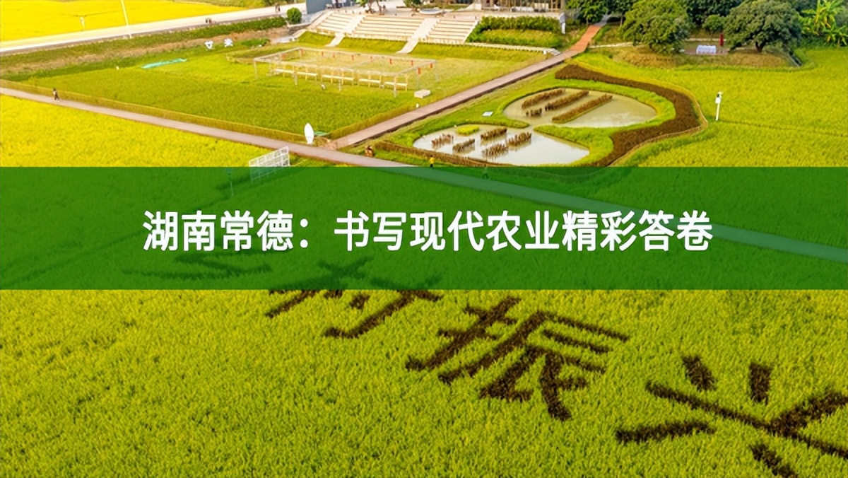 湖南常德：書寫現代農業精彩答卷