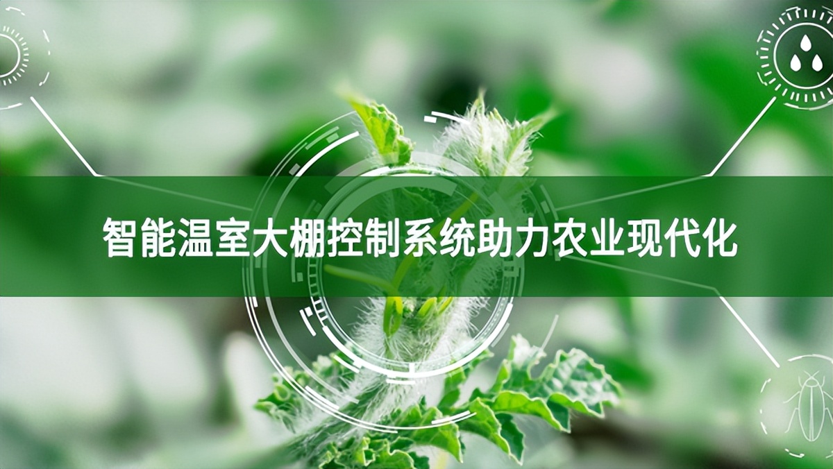 智能溫室大棚控制系統助力農業現代化