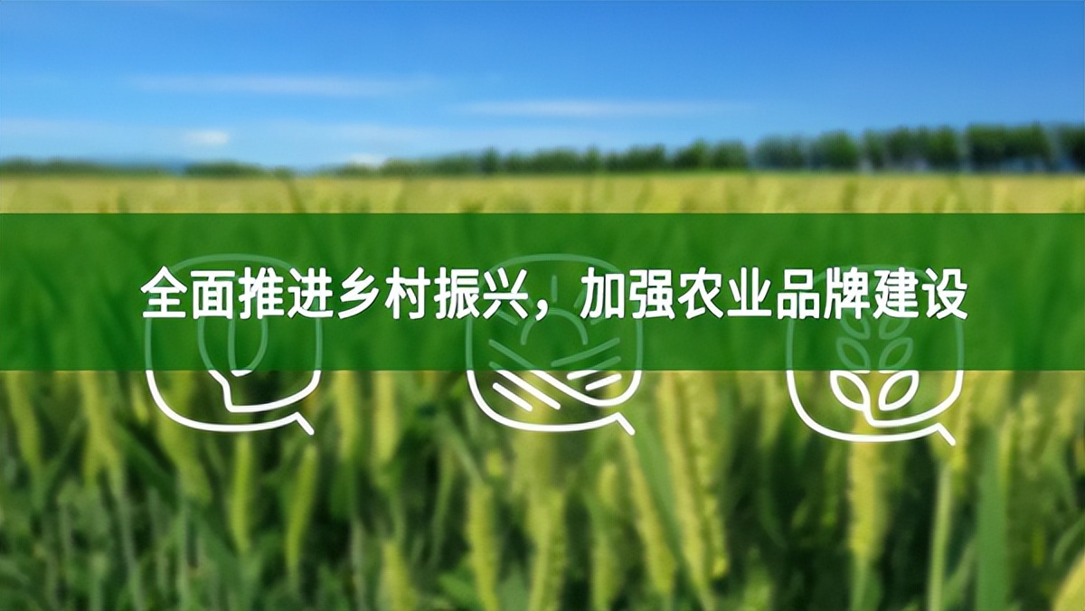全面推進鄉(xiāng)村振興,加強農業(yè)品牌建設