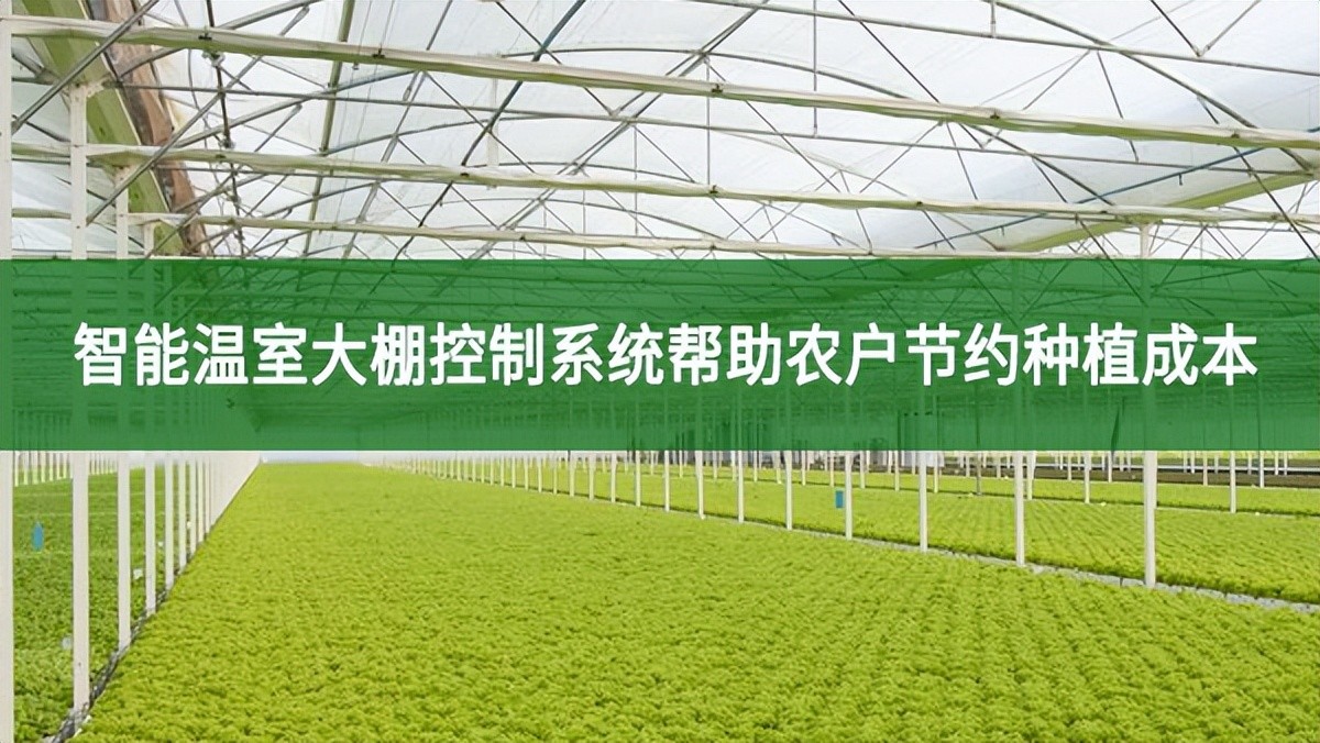 智能溫室大棚控制系統(tǒng)幫助農(nóng)戶節(jié)約種植成本