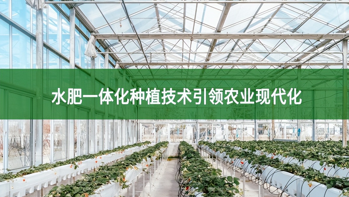 水肥一體化種植技術引領農業現代化,節本增效