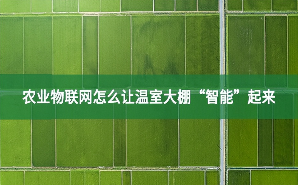 農(nóng)業(yè)物聯(lián)網(wǎng)怎么讓溫室大棚“智能”起來