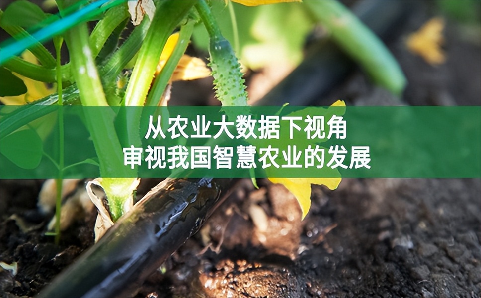 從農業(yè)大數據下視角，審視我國智慧農業(yè)的發(fā)展