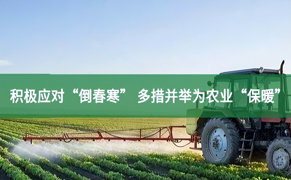 積極應對“倒春寒” 多措并舉為農業“保暖”