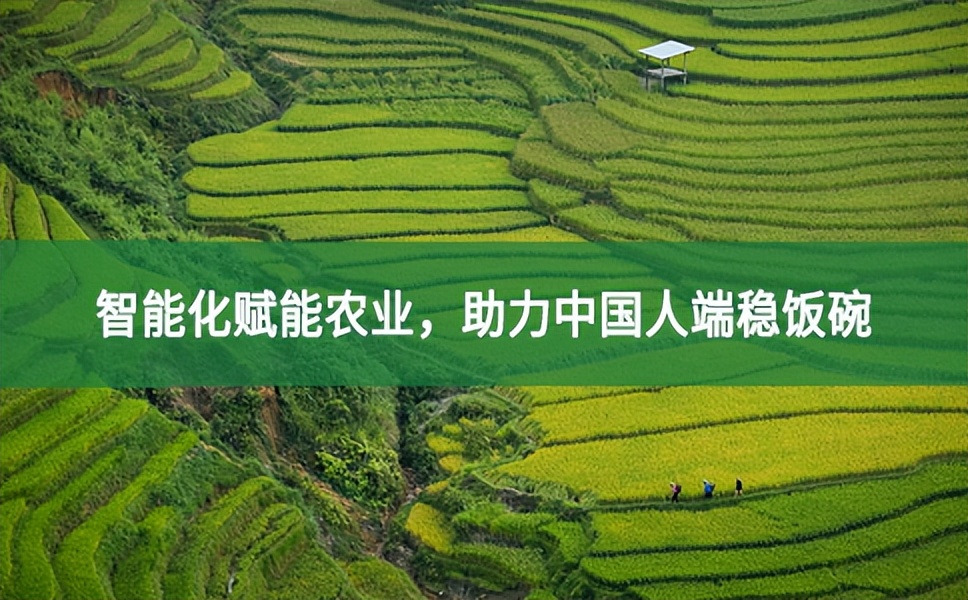 智能化賦能農業，助力中國人端穩飯碗
