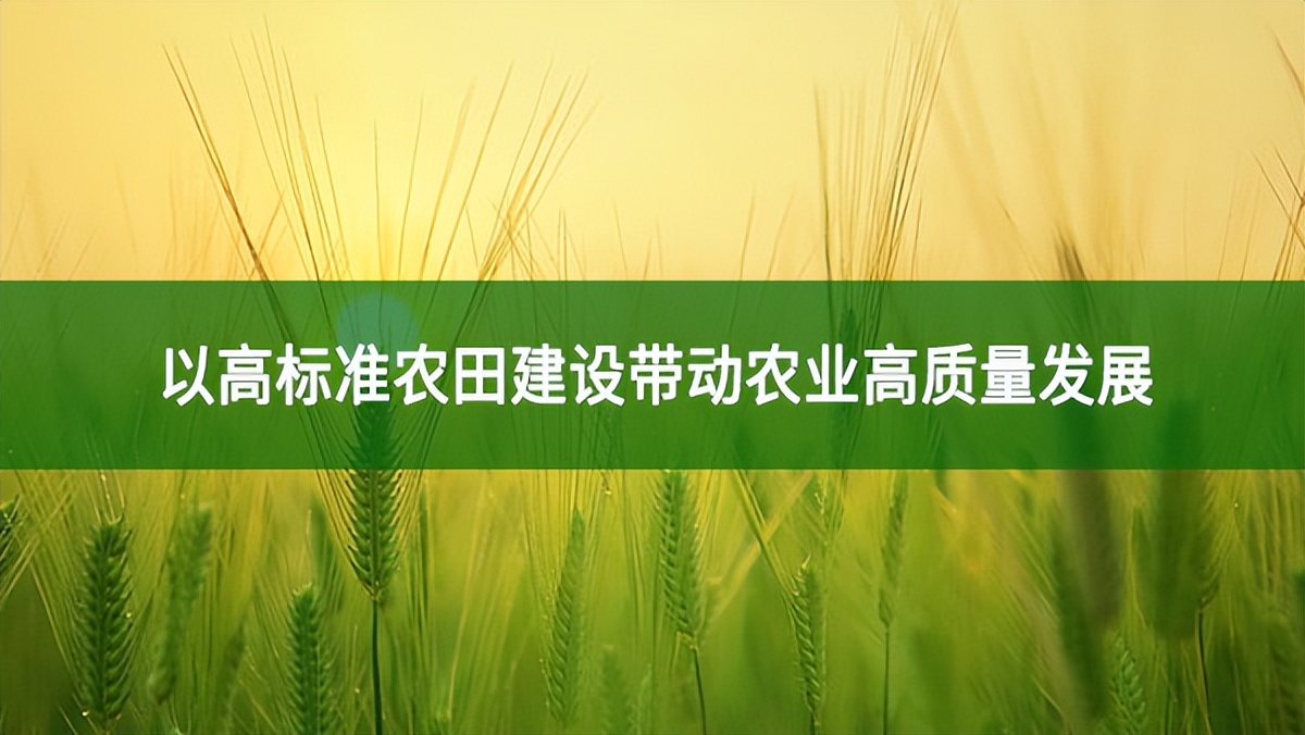 以高標(biāo)準(zhǔn)農(nóng)田建設(shè)帶動農(nóng)業(yè)高質(zhì)量發(fā)展