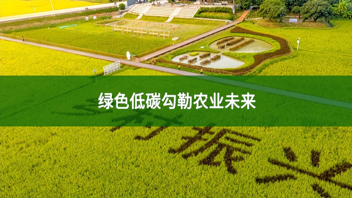 農(nóng)業(yè)低碳發(fā)展取得了哪些成果？綠色低碳勾勒農(nóng)業(yè)未來