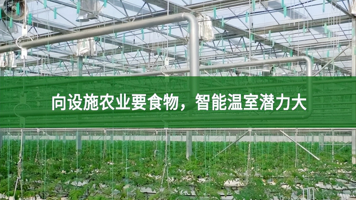 向設施農業要食物,智能溫室潛力大