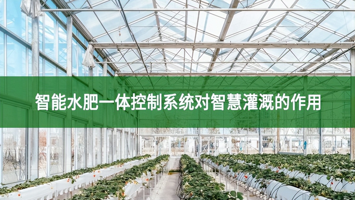 智能水肥一體控制系統對智慧灌溉的作用