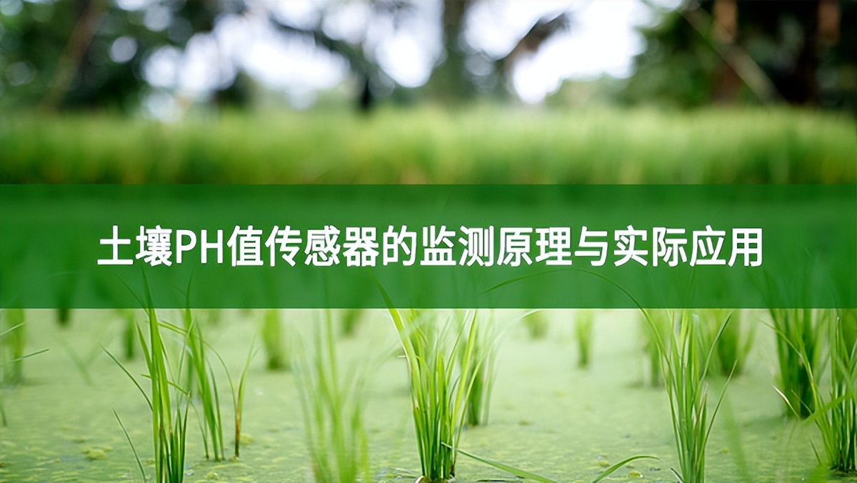 土壤PH值傳感器的監(jiān)測原理與實(shí)際應(yīng)用