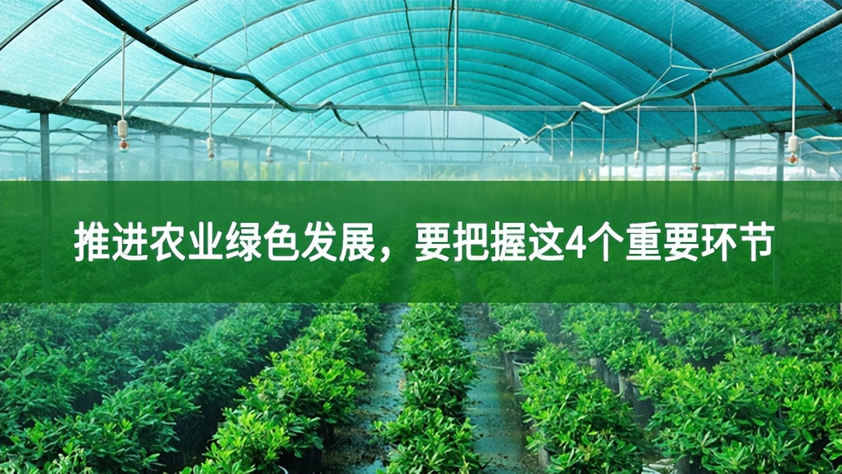 推進(jìn)農(nóng)業(yè)綠色發(fā)展，要把握這4個重要環(huán)節(jié)