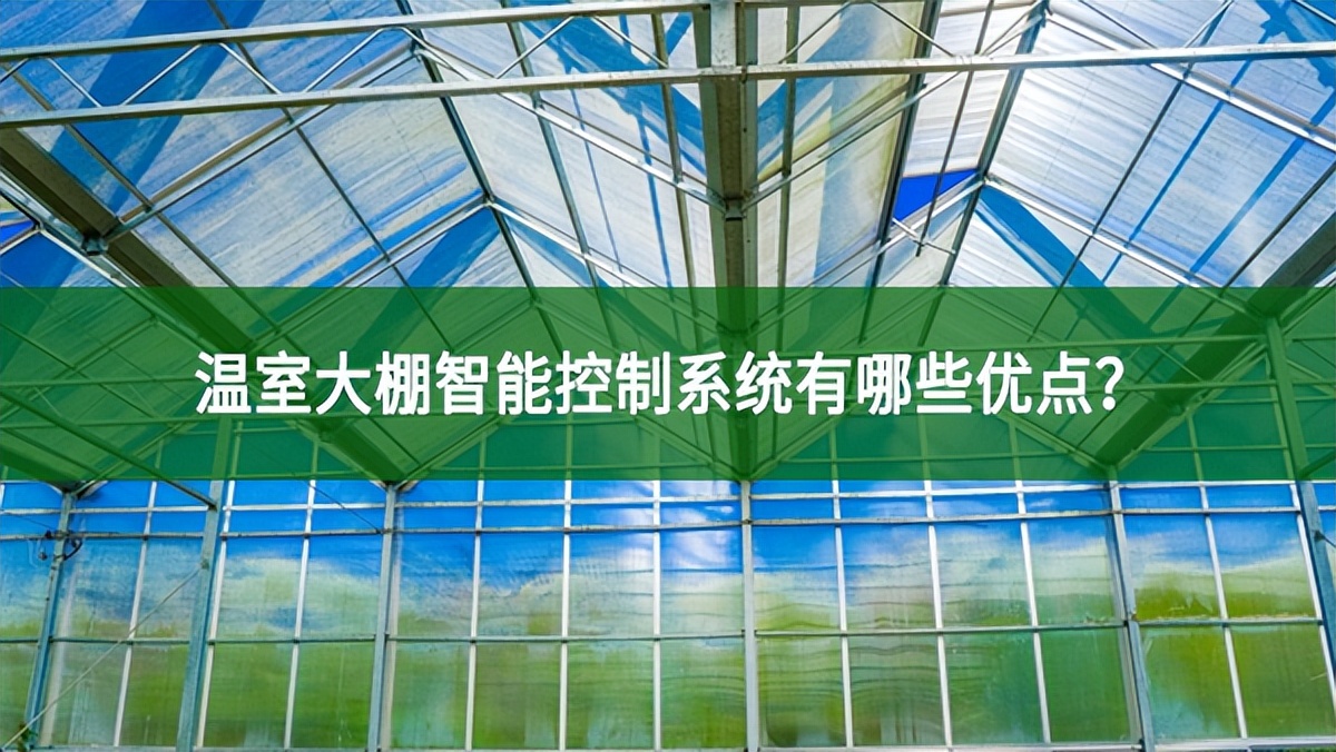 溫室大棚智能控制系統(tǒng)有哪些優(yōu)點(diǎn)?