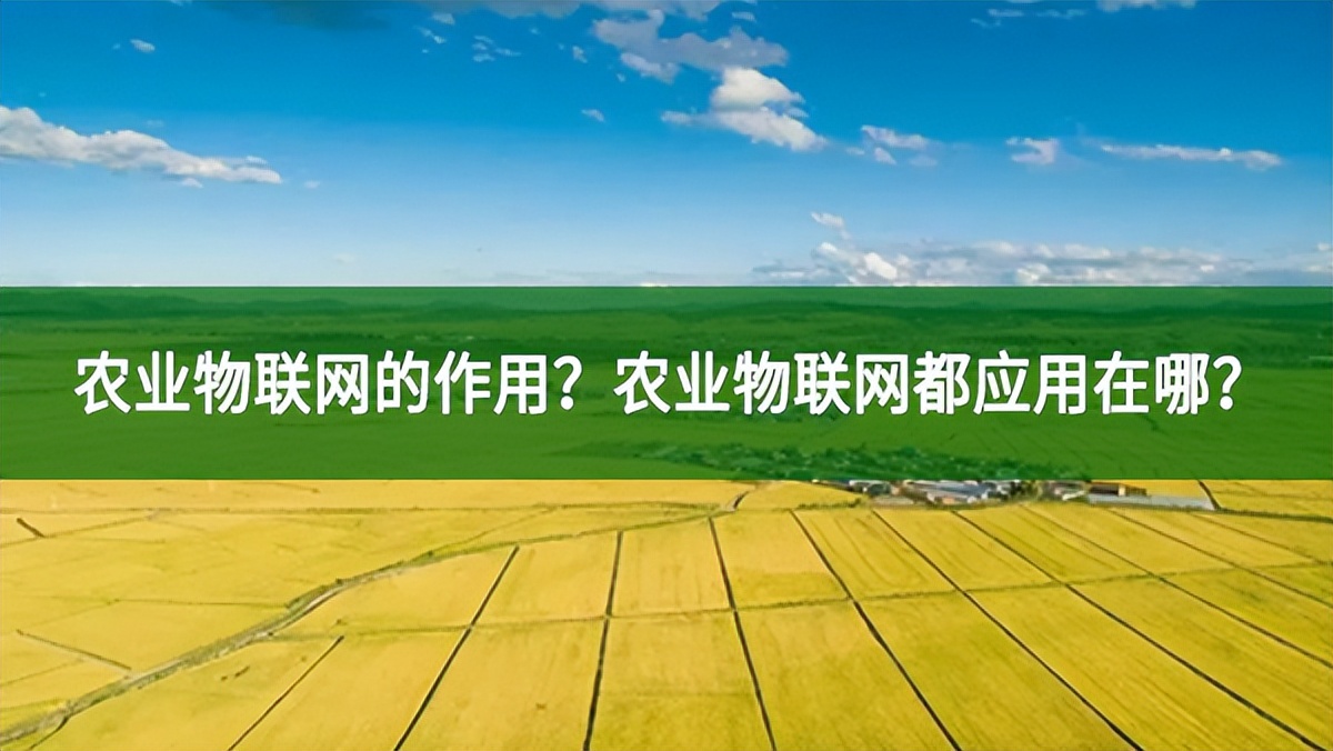 農業物聯網的作用？農業物聯網都應用在哪？