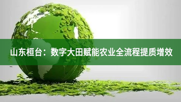 山東桓臺(tái)：數(shù)字大田賦能農(nóng)業(yè)全流程提質(zhì)增效