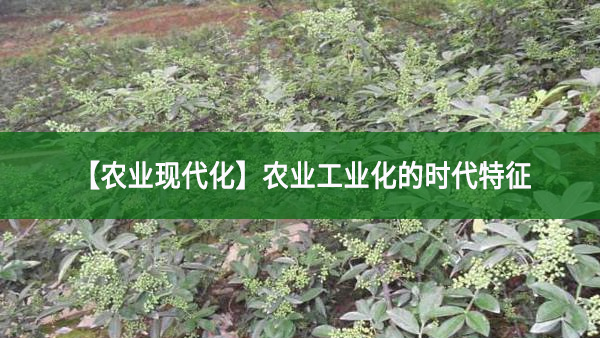 【農(nóng)業(yè)現(xiàn)代化】農(nóng)業(yè)工業(yè)化的時代特征