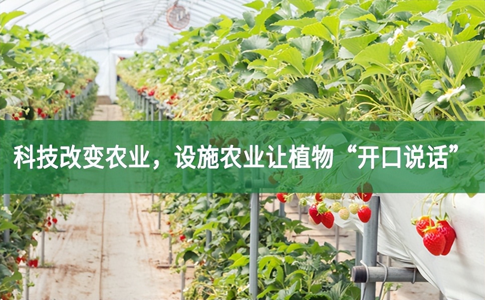 科技改變農業，設施農業讓植物“開口說話”