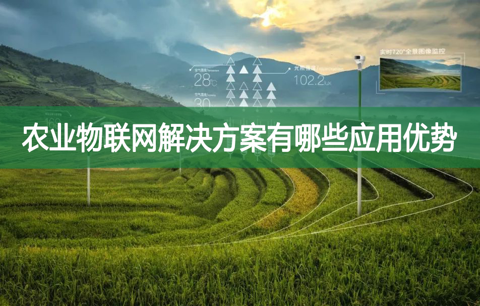 農(nóng)業(yè)物聯(lián)網(wǎng)解決方案有哪些應用優(yōu)勢
