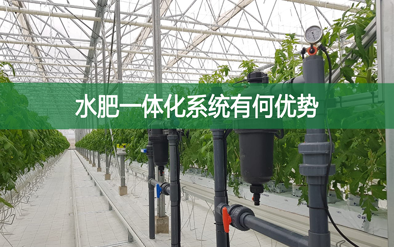 水肥一體化系統有何優勢