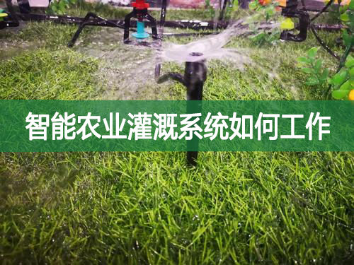 智能農(nóng)業(yè)灌溉系統(tǒng)如何工作