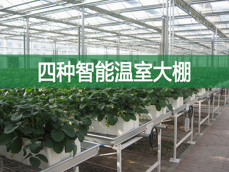 四種智能溫室大棚